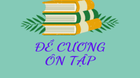 ĐỀ CƯƠNG ÔN TẬP GIỮA HỌC KỲ II KHỐI 10 NĂM HỌC 2024-2025